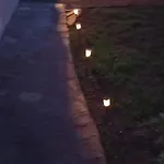 Luna De